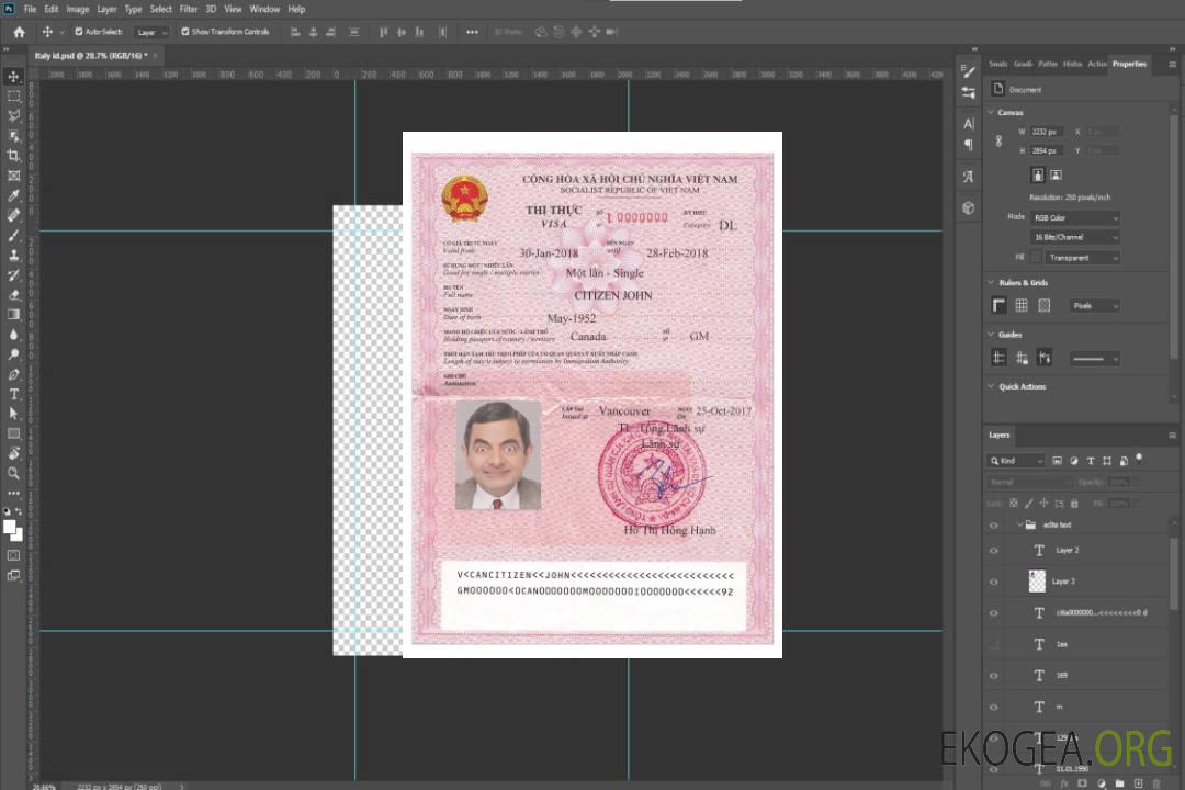 Visa VIET NAM version 2 template Visa VIET NAM version 2 template